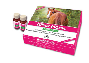 Confezione-Ribes-Horse-NBF-ENG