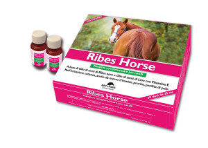 Confezione-Ribes-Horse-NBF