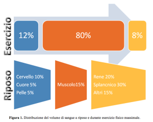 NBF POSSIBILI EFFETTI DELL’IMPIEGO DI ADIUVANTI NUTRIZIONALI