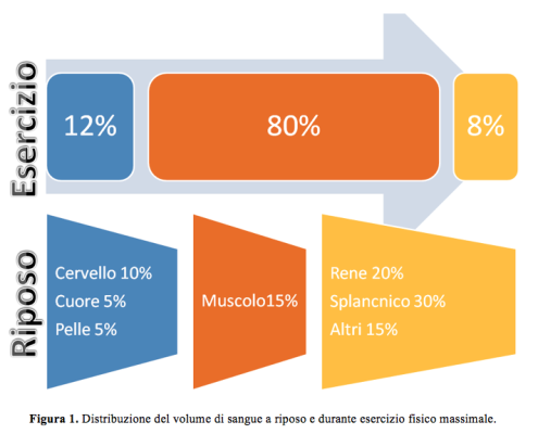 NBF POSSIBILI EFFETTI DELL’IMPIEGO DI ADIUVANTI NUTRIZIONALI