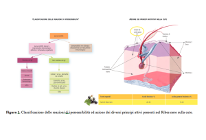 nbf Possibile impiego dell'olio di semi di Ribes nel Mantenimento della Funzione della Barriera Cutanea e dell'Idratazione Transdermica nel cavallo