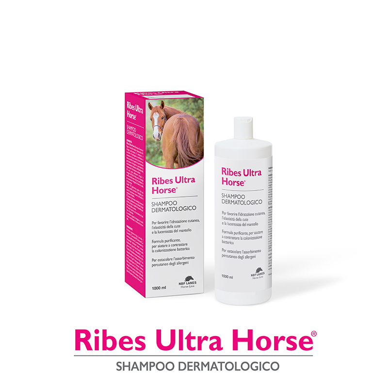 Ribes Horse Shampoo-Balsamo